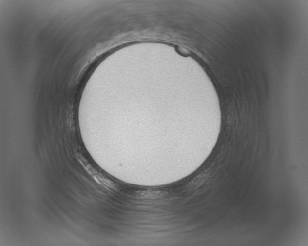 X0000060241499200511241319