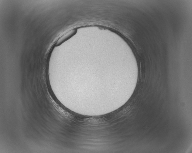 X0000060241500200511241319
