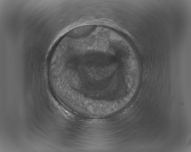 X0000060241506200511241319