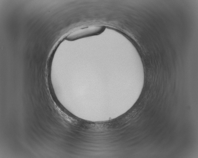 X0000060241508200511241319