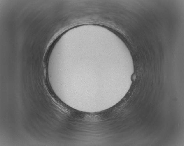 X0000060241509200511241319