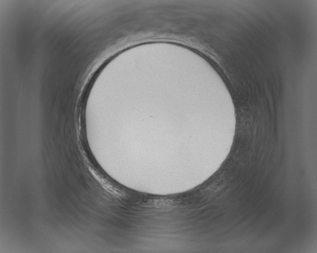 X0000060241511200511241319