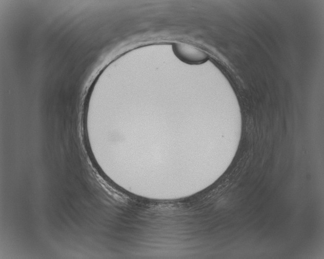 X0000060241512200511241319
