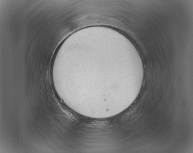 X0000060241513200511241319