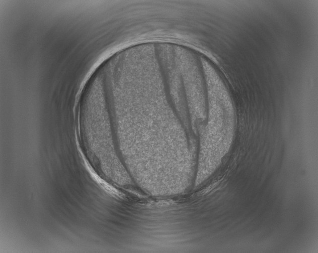 X0000060241515200511241320
