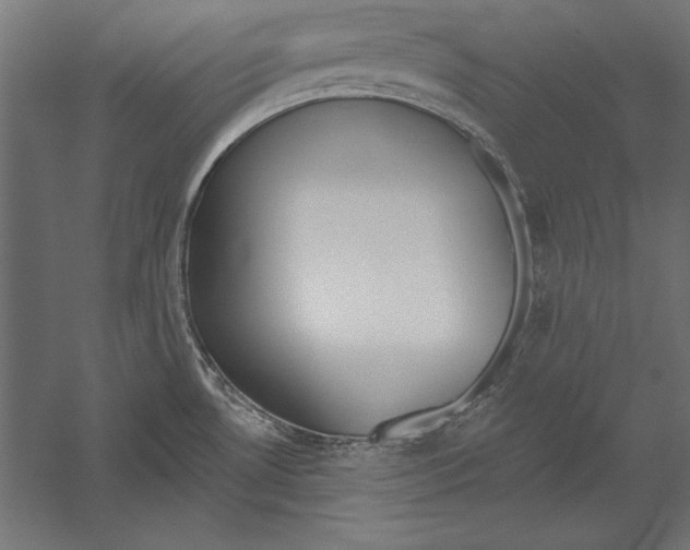 X0000060241530200511241320