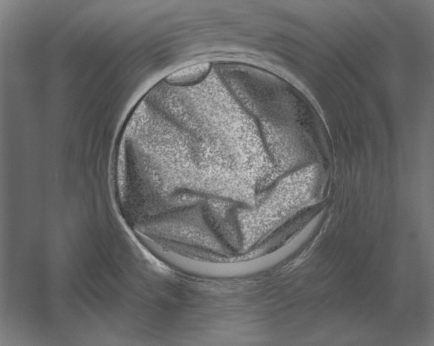 X0000060241533200511241320