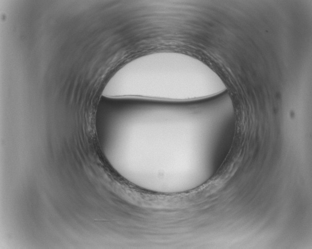 X0000060250044200510280949