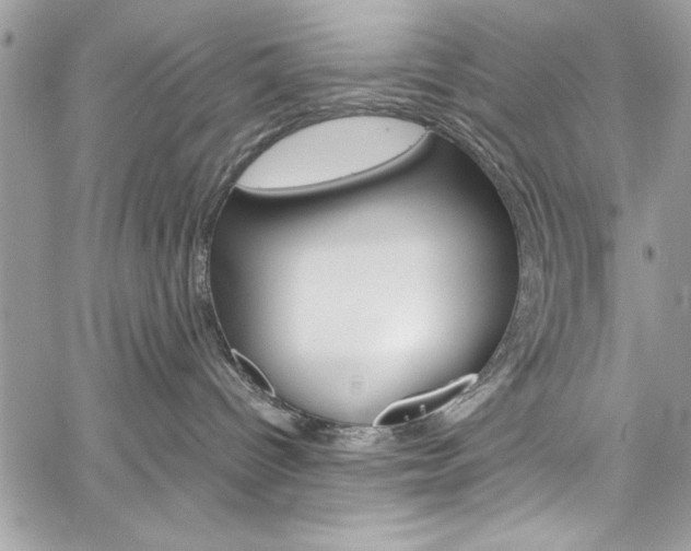 X0000060250096200510280949