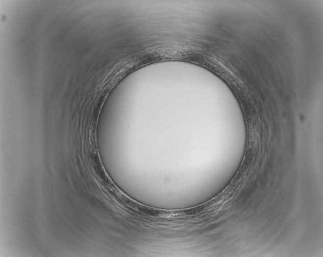 X0000060250117200510280948