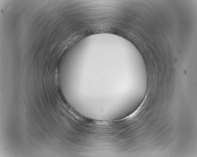 X0000060250144200510280948