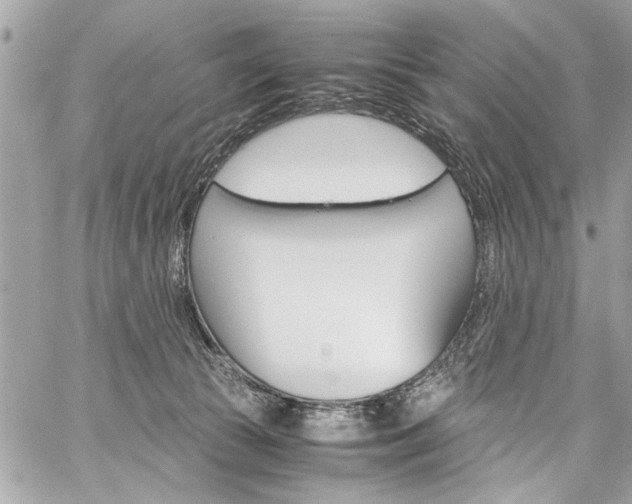 X0000060250177200510280947
