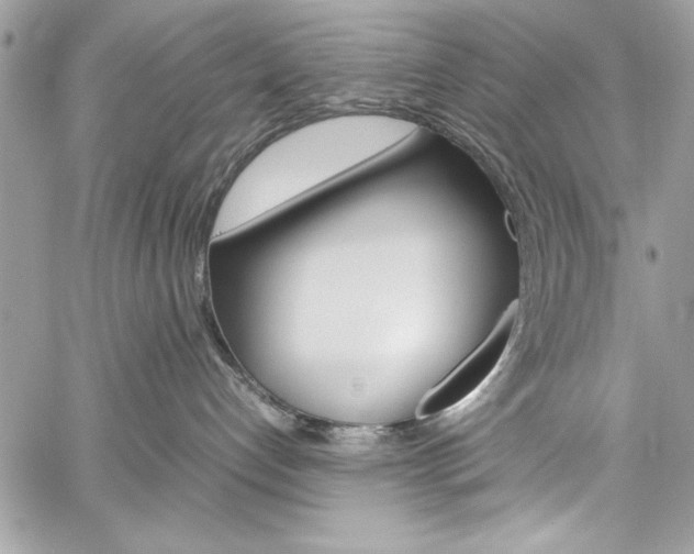 X0000060250192200510280948