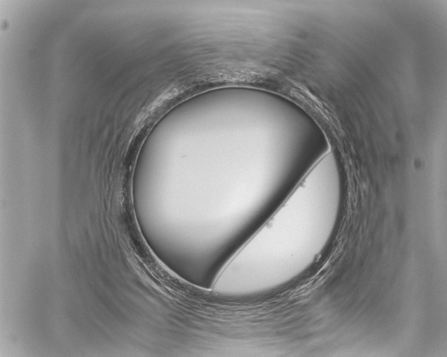 X0000060250203200510280947