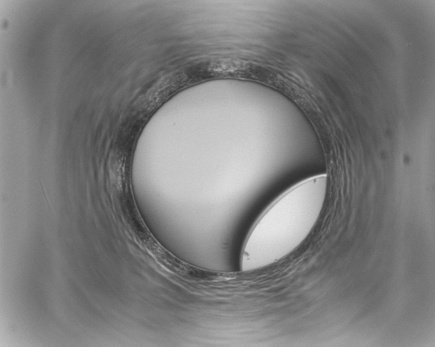 X0000060250227200510280946