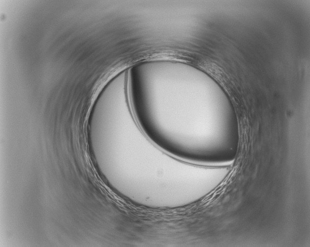 X0000060250289200510280945