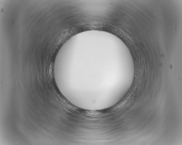 X0000060250336200510280944