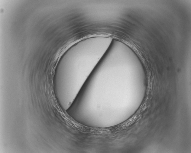 X0000060250337200510280944