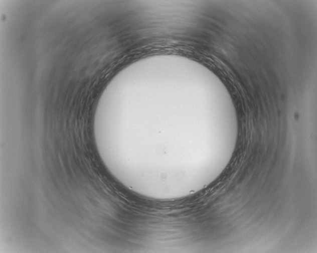 X0000060250372200510280944