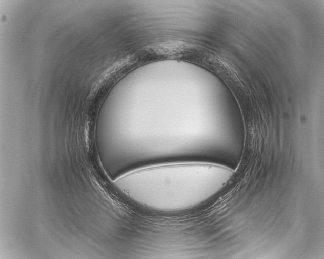 X0000060250404200510280943