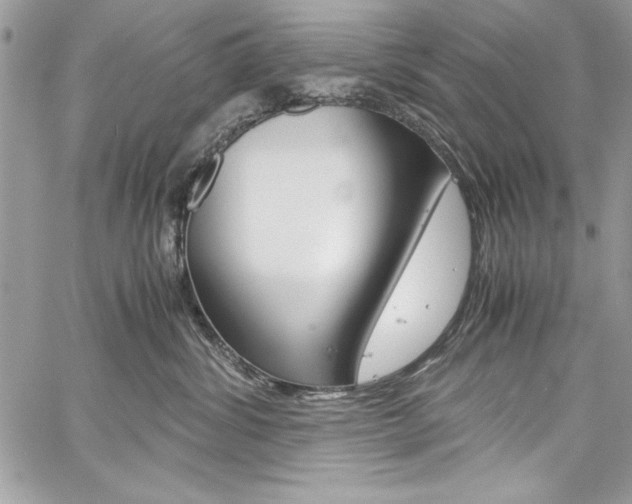 X0000060250428200510280943