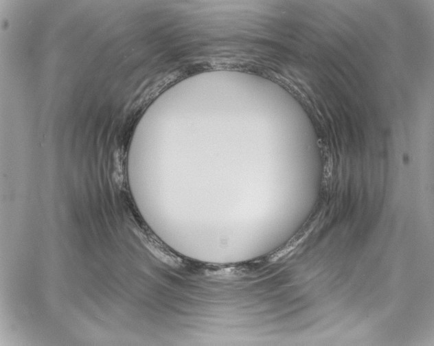 X0000060250430200510280943