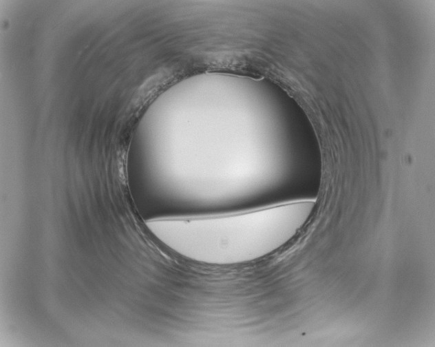 X0000060250432200510280943