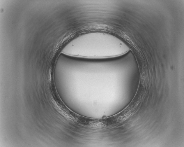 X0000060250454200510280942