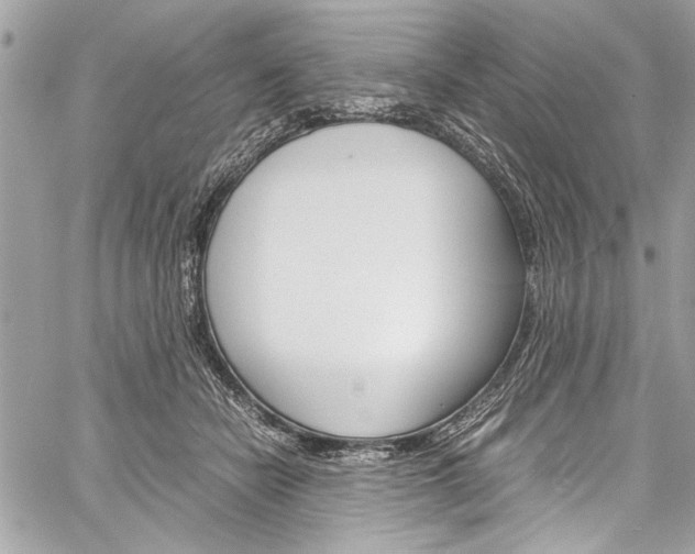 X0000060250462200510280943