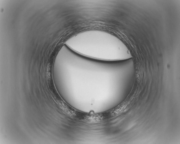 X0000060250466200510280943