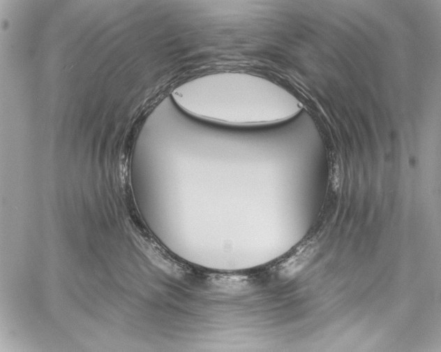 X0000060250476200510280943