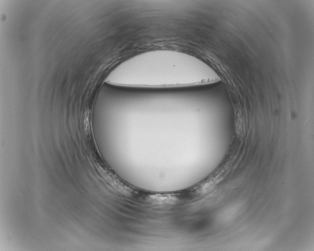 X0000060250477200510280943
