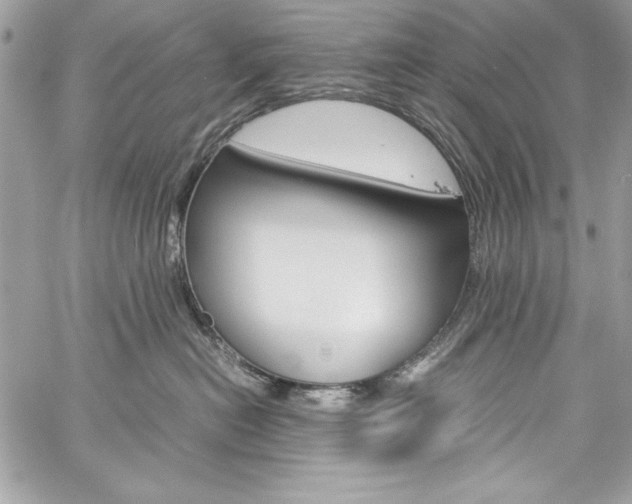 X0000060250478200510280943
