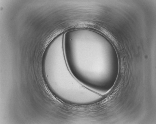 X0000060250485200510280942
