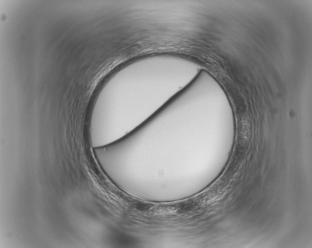 X0000060250491200510280942