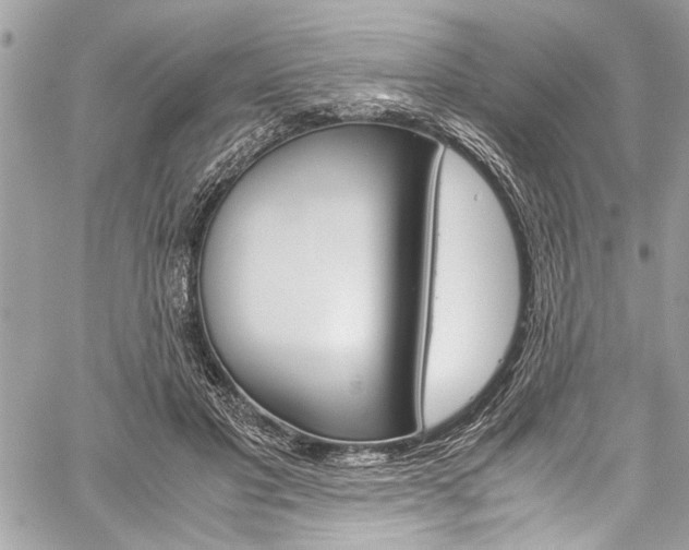 X0000060250501200510280942