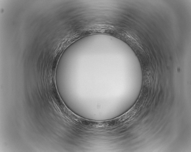 X0000060250504200510280942
