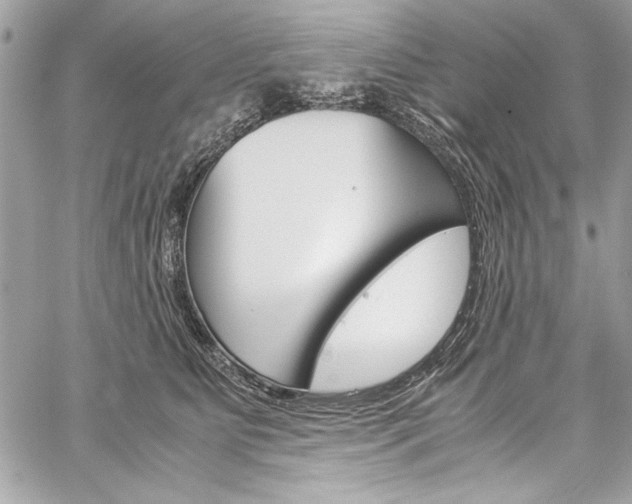 X0000060250515200510280941