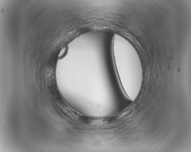 X0000060250521200510280941
