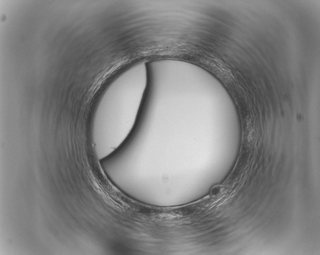 X0000060250542200510280941