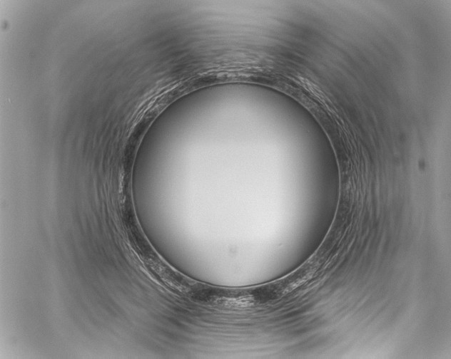 X0000060250548200510280941