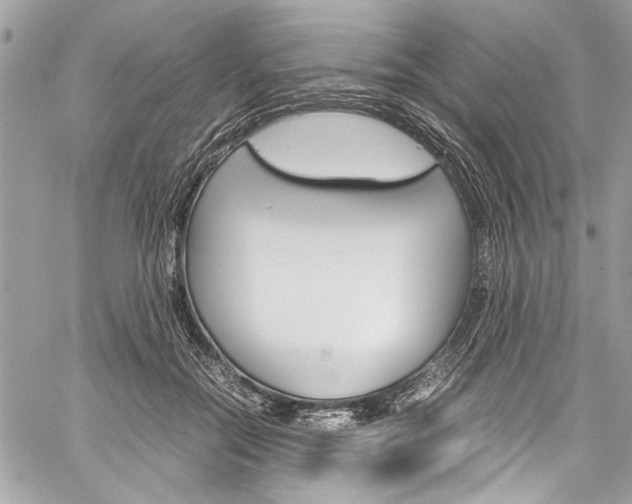 X0000060250554200510280941