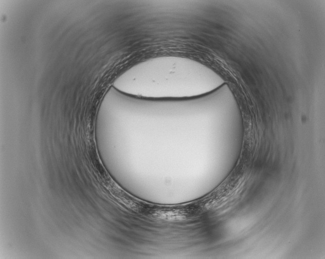 X0000060250557200510280941
