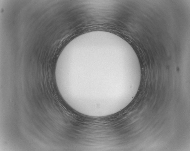 X0000060250570200510280941