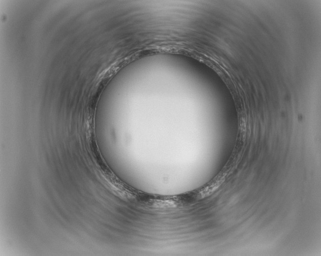 X0000060250572200510280941