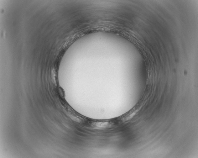 X0000060250575200510280941
