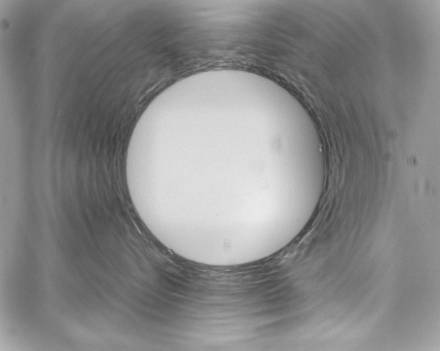 X0000060250576200510280941