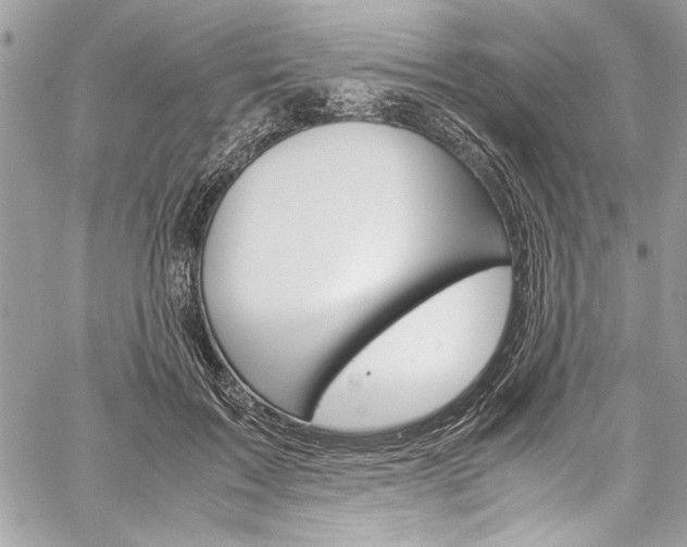 X0000060250603200510280940