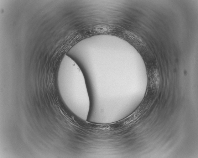 X0000060250606200510280940