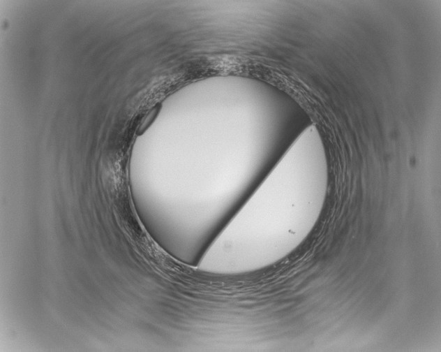 X0000060250611200510280940